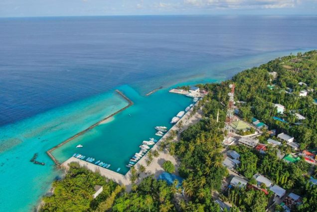 Jeym Lodge 4★ 11 (дней)