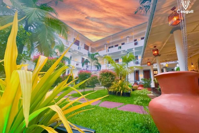 Ceagull 4★ 6 (дней)