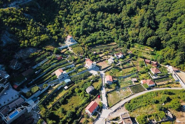 Country House Djurisic 4★ 5 (дней)